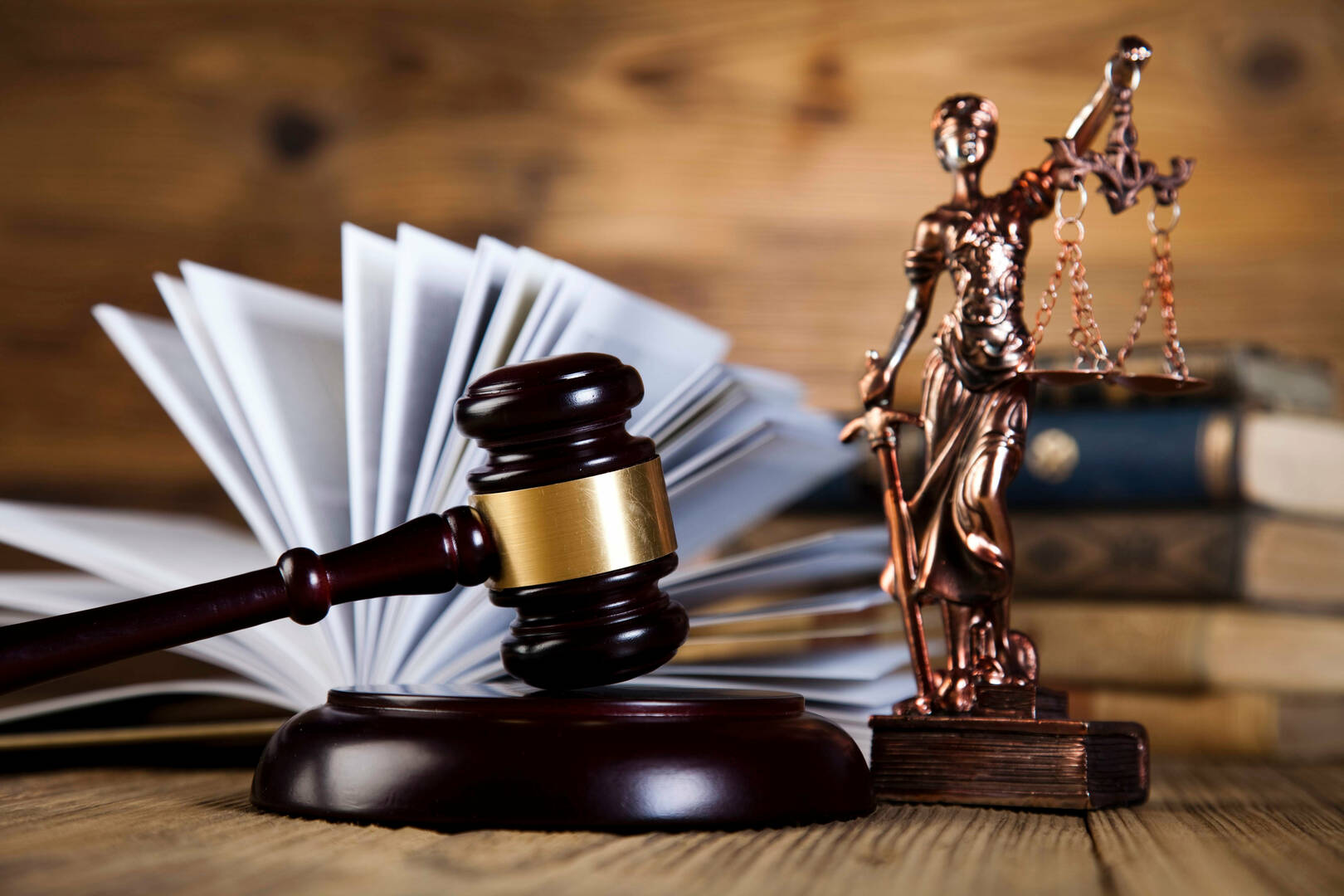 The Law Office of Michael S Braun logo