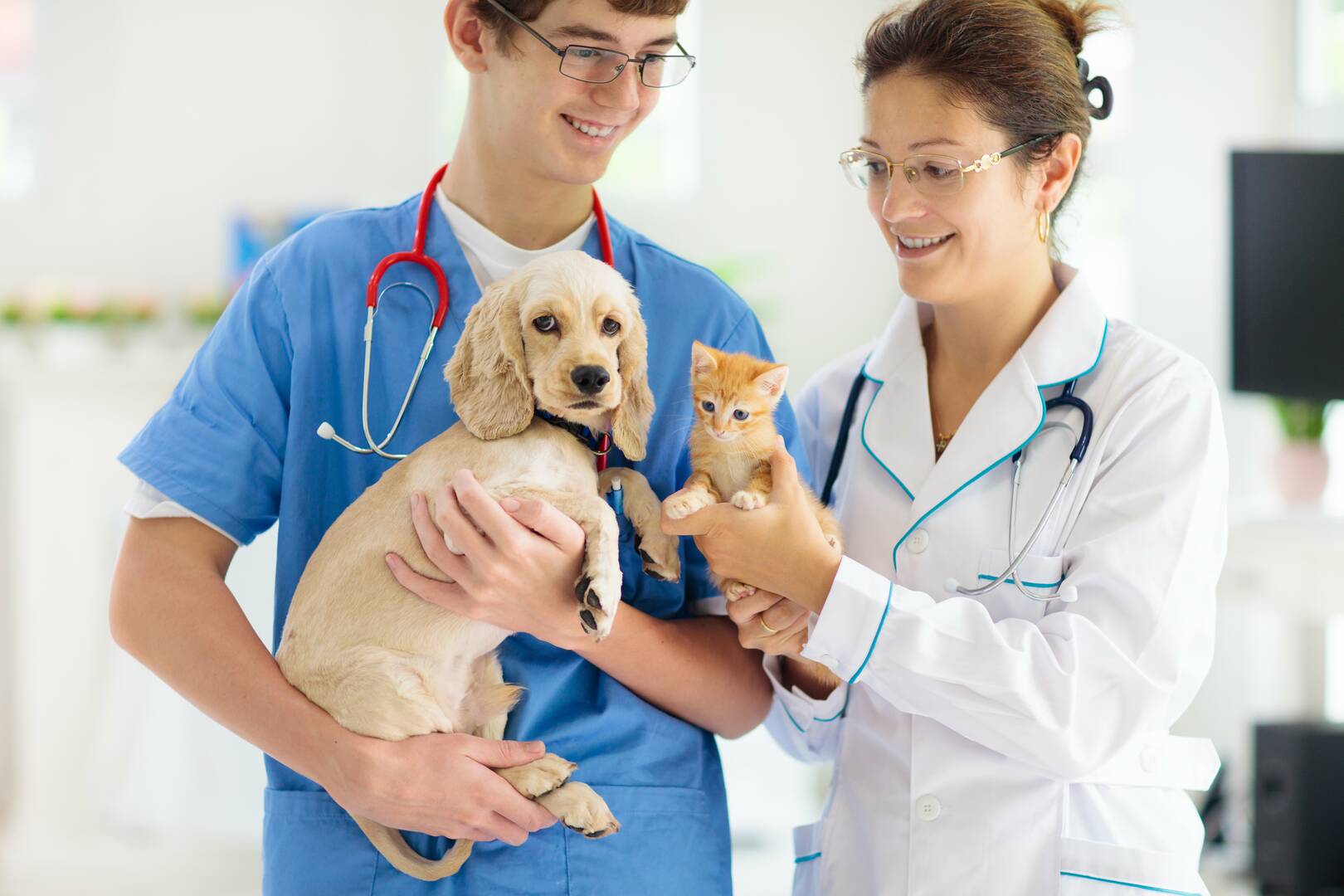 Great Southern Animal Hospital logo