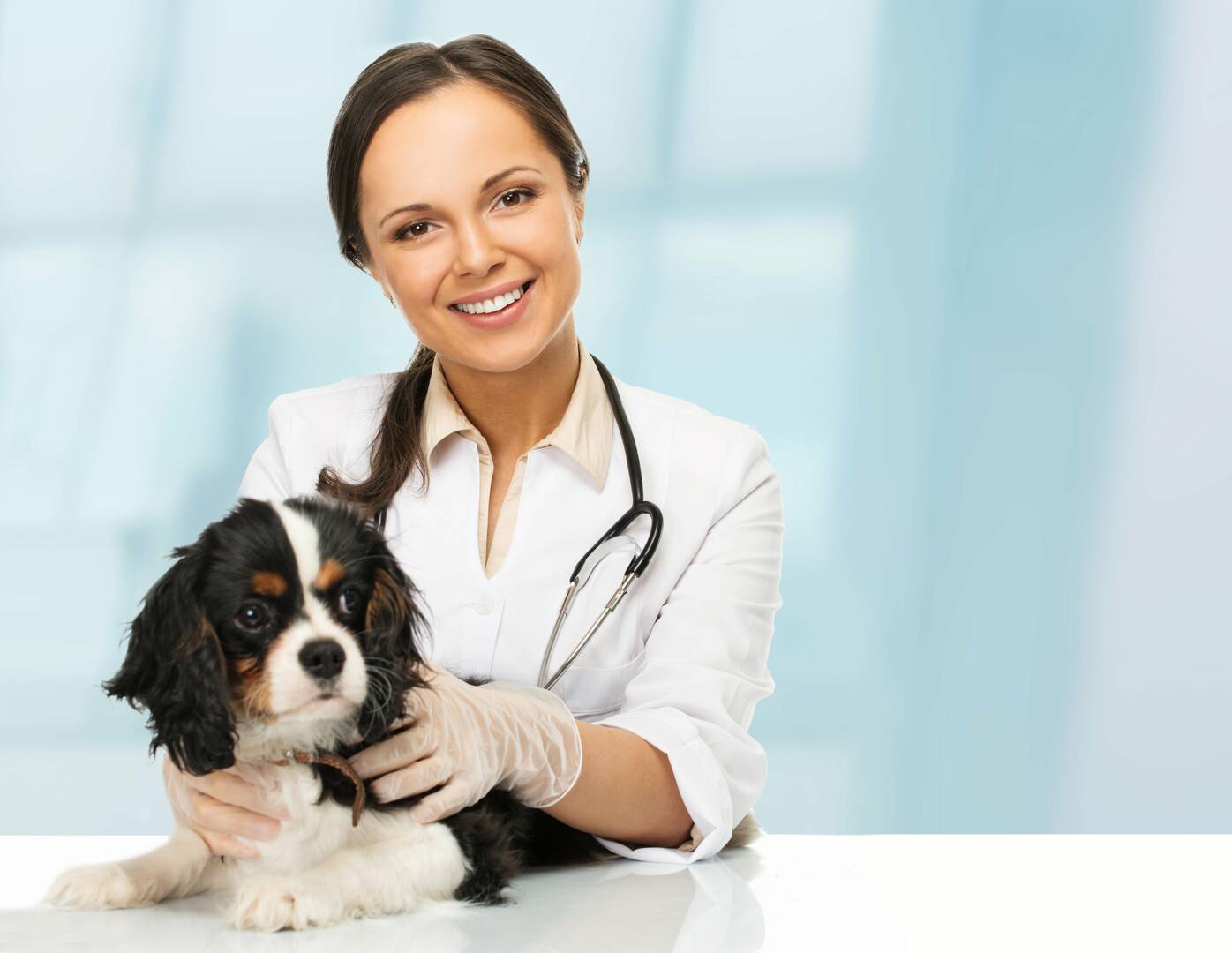 1st Pet Veterinary Centers logo